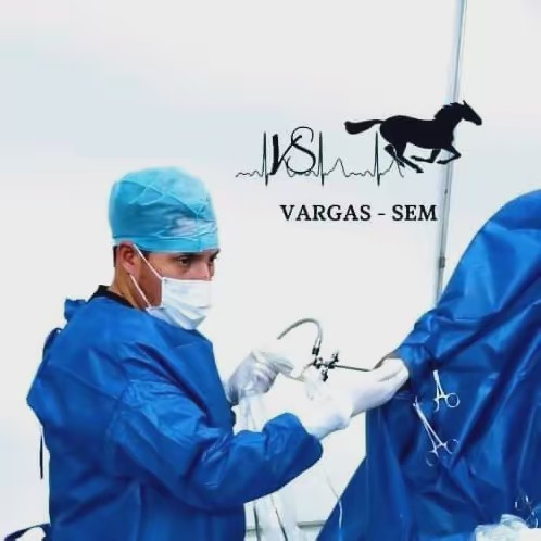 VARGAS-SEM💉🐴☠️✌🏻
