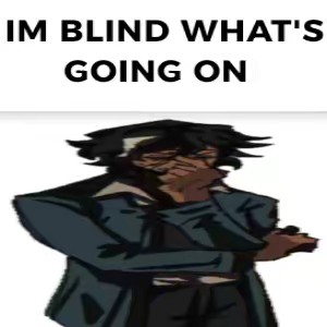 Kowalski plushie(S01VERBULLET)