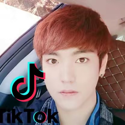 🌳  🌟 🌟 용스 🌟 🌟 🌳