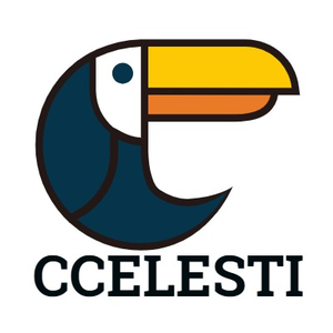 CelestialStrive