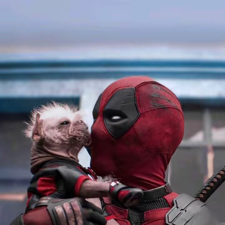 user121229415192512121