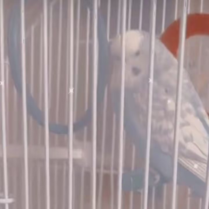 𖥔 ࣪˖ ꒰[𝑳]𝒖𝒍𝒖« ❣︎