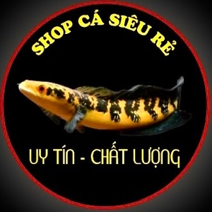 SHOPCASIEURE1