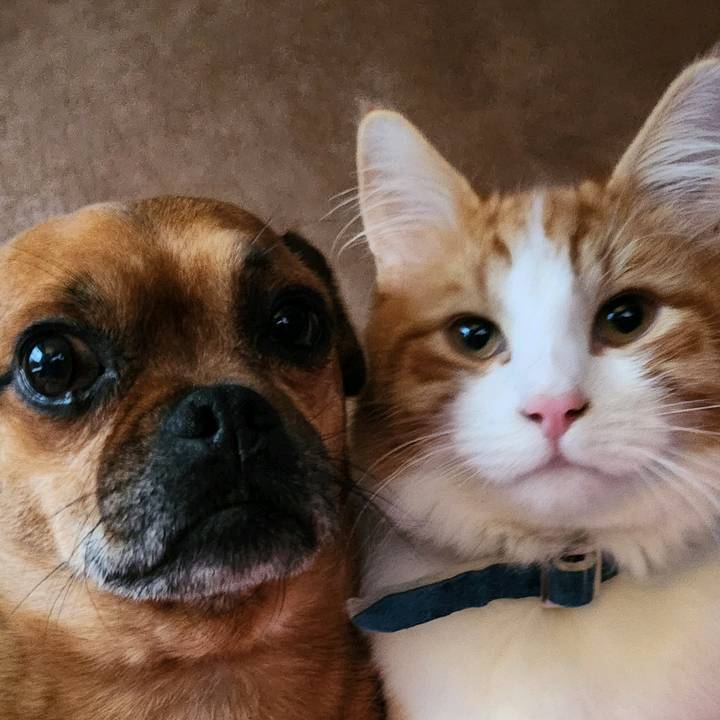 Douglas and kristoff