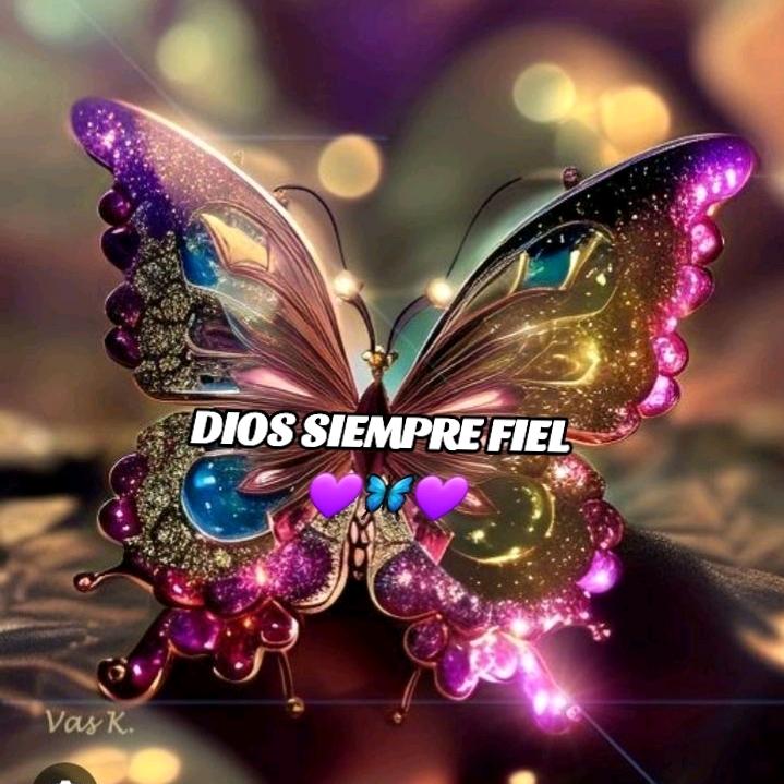 👑🦋💞LISJ💞🦋👑