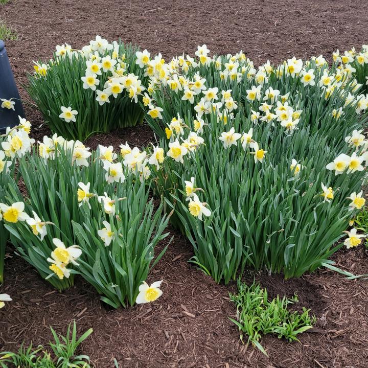 Esme🥰🥰🥰🥰