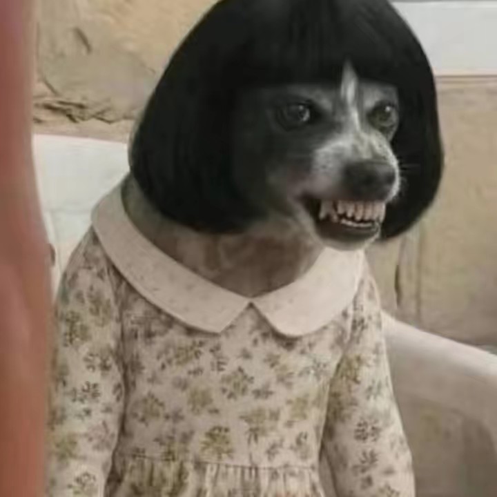 แพนพัดพัด