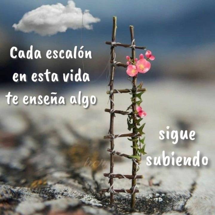 Martha H De S/las N.