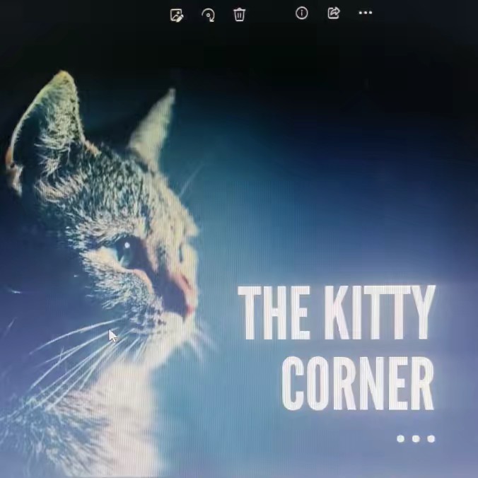 The Kitty Corner