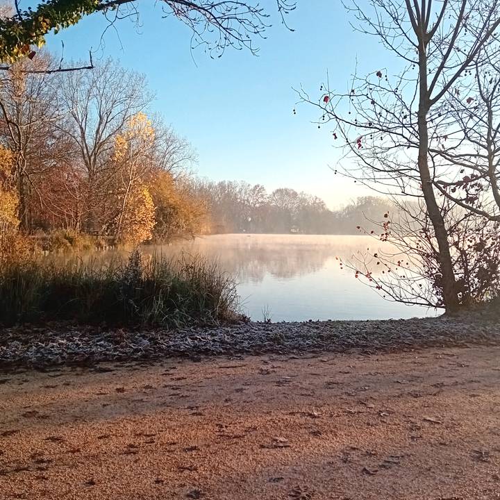 🇲🇦🇲🇦LeLion🇲🇦🇲🇦