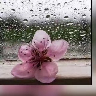 ♥️ᥫ᭡apoet_12🇸🇦