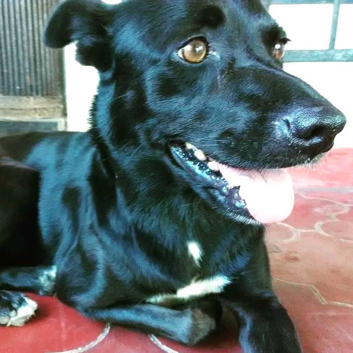 misa7 🇵🇹🐐🦅💙💛