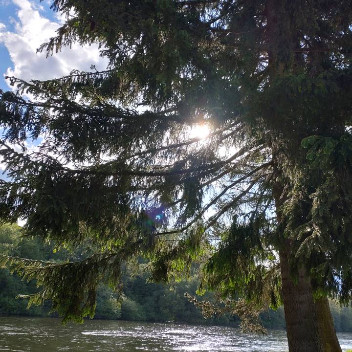 Storyteller 📖✍️🎉