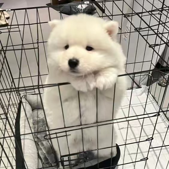 𝗂𝗇𝗆𝗒𝗆𝗈𝗆𝖾𝗇𝗍