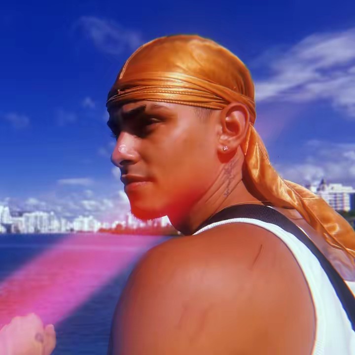 Flamingeos