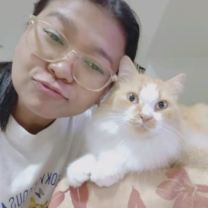 ทาสแมว 🐱🌻
