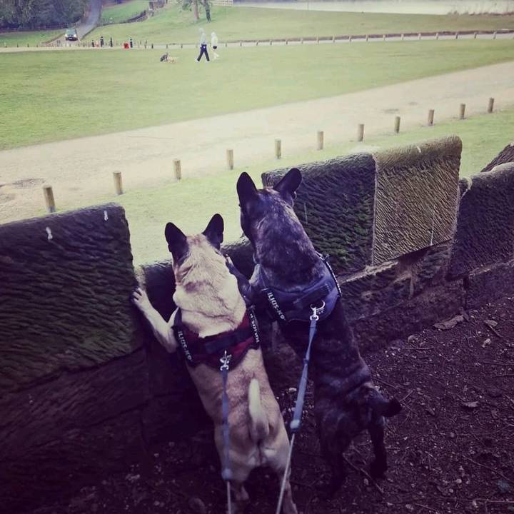 Dayna & Marley! 🐾 🦴