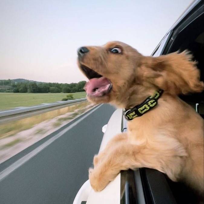 กาาานต์ | สำรอง