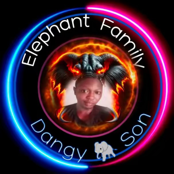 👑 Dangyang 🐘❤️🤍💙