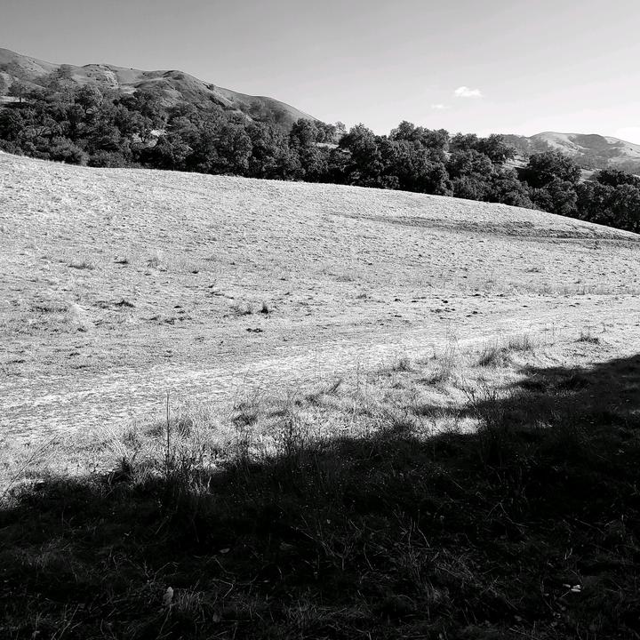 Nieto▪︎D▪︎MR P♦️🔟♦️