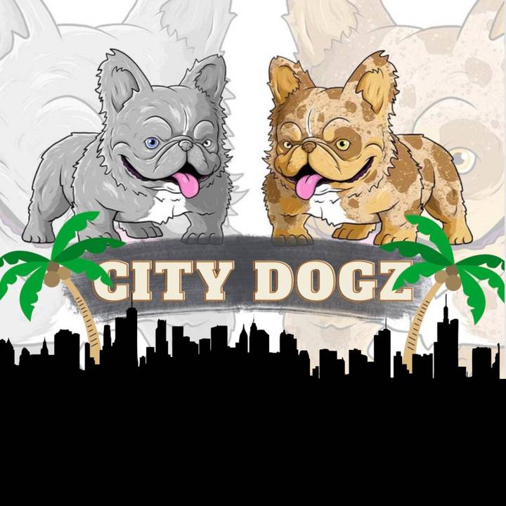 🏙CityDogz🏙