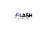 FLASH DIGITAL PRO