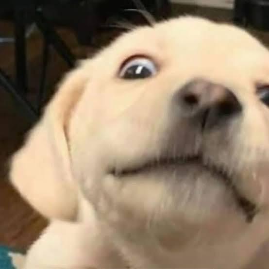 ซานต้าขอป้ายยา🌟👀