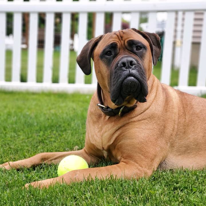 convos with Fletcher