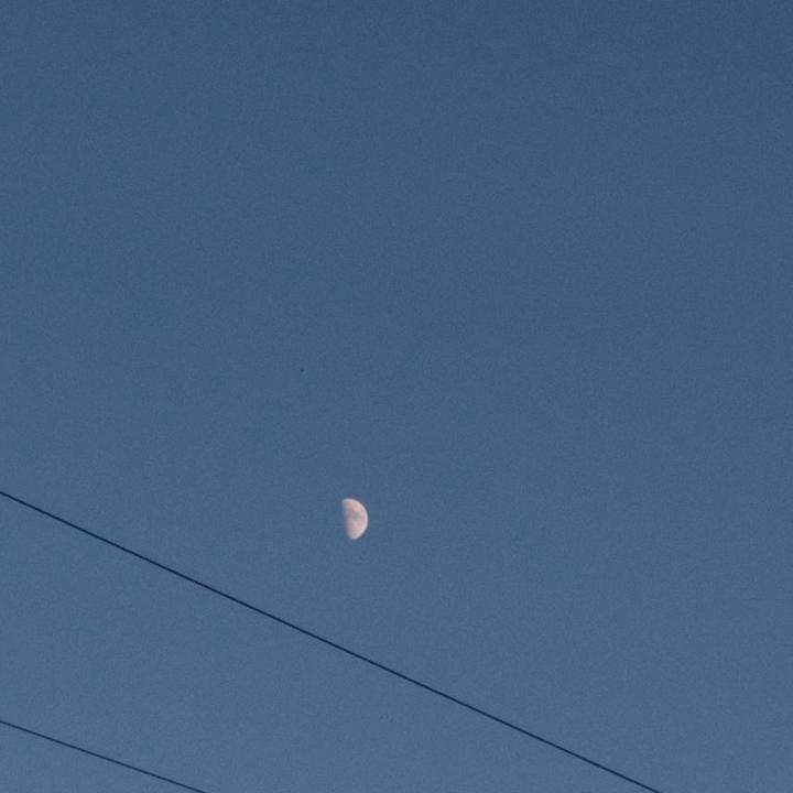 Crochet by syu 🦐🌼🧵🐡🍄‍🟫