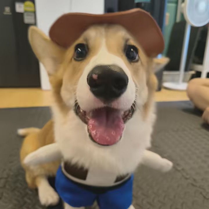 𓆟𓆝𓆜yappybara⋆𐙚₊˚⊹🍒