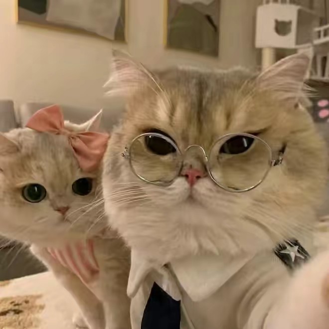 Kim Saung Gaming🫧