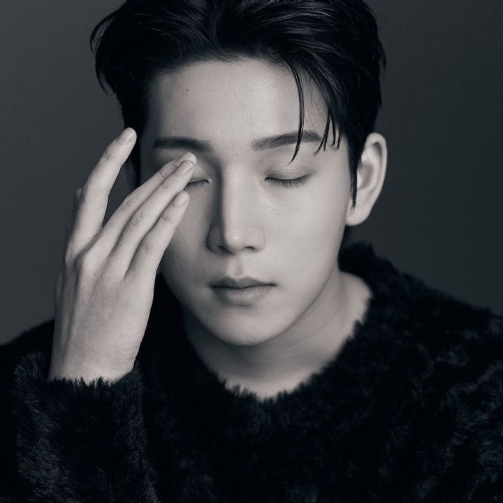 🦊JINSUNG 진성 ジン🥣