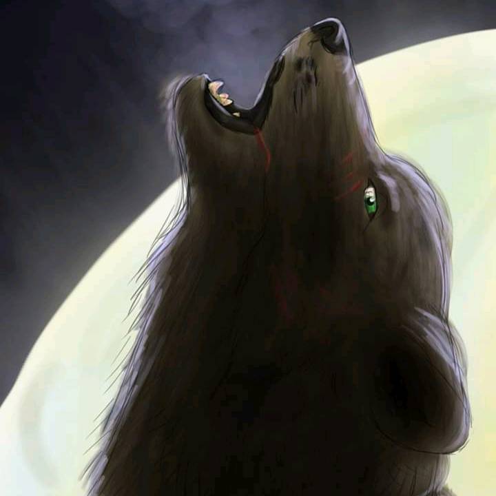 Les histoires de Lunaastra