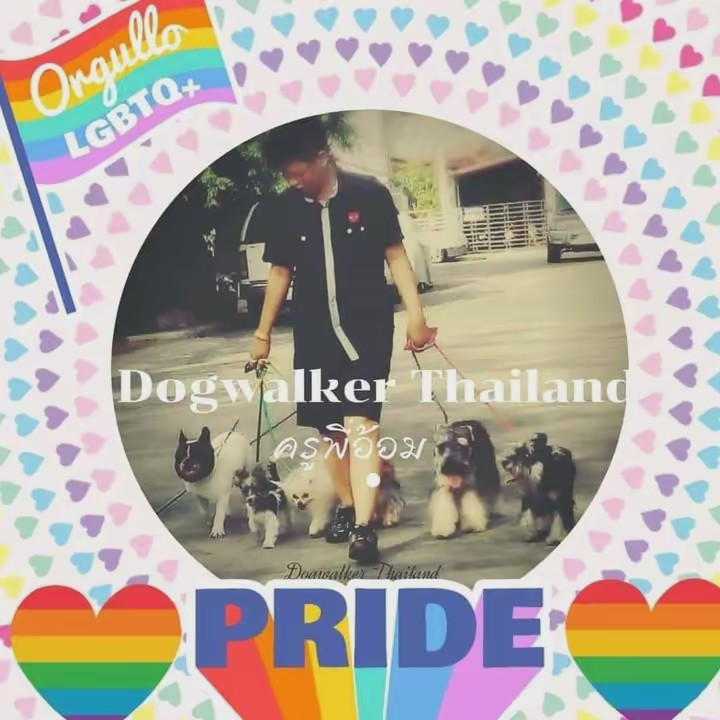 ครูพี่อ้อมDogwalkerThailand