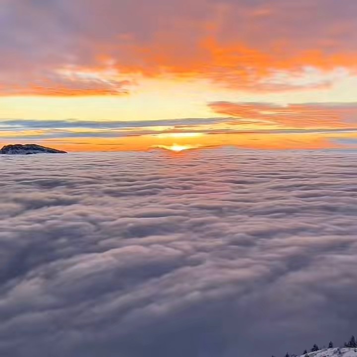 🇸🇳harouna.clb🇸🇳