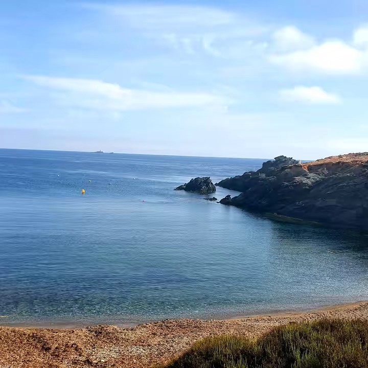 SENTIMIENTOS CRUZADOS