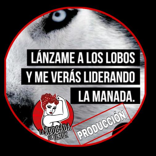 La_abogada_de_tiktok06