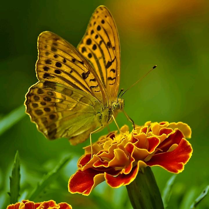 Relatos Sin Fronteras