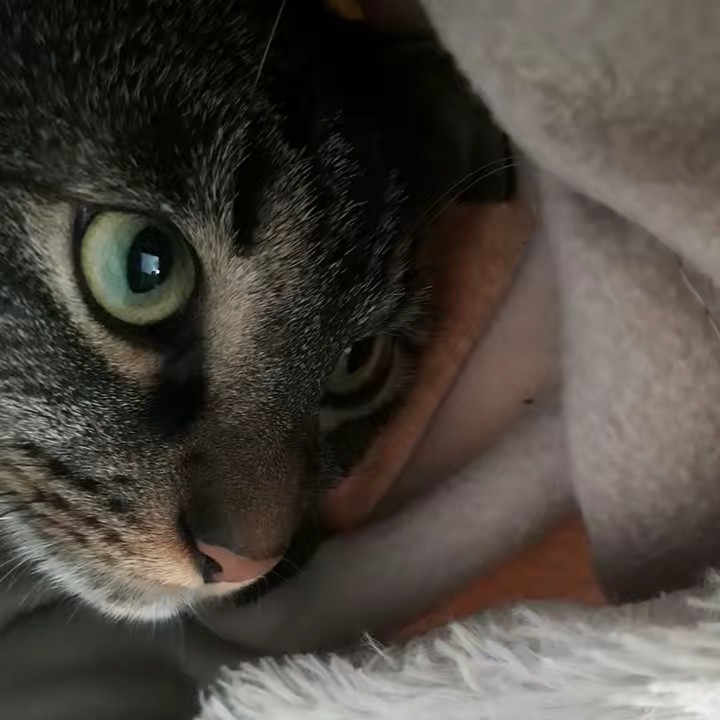 🇵🇸magike 7489🍉