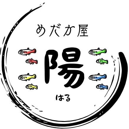 めだか屋 陽(はる)🐟🧜‍♂️