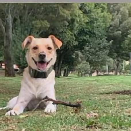 Cristina Vázquez Var