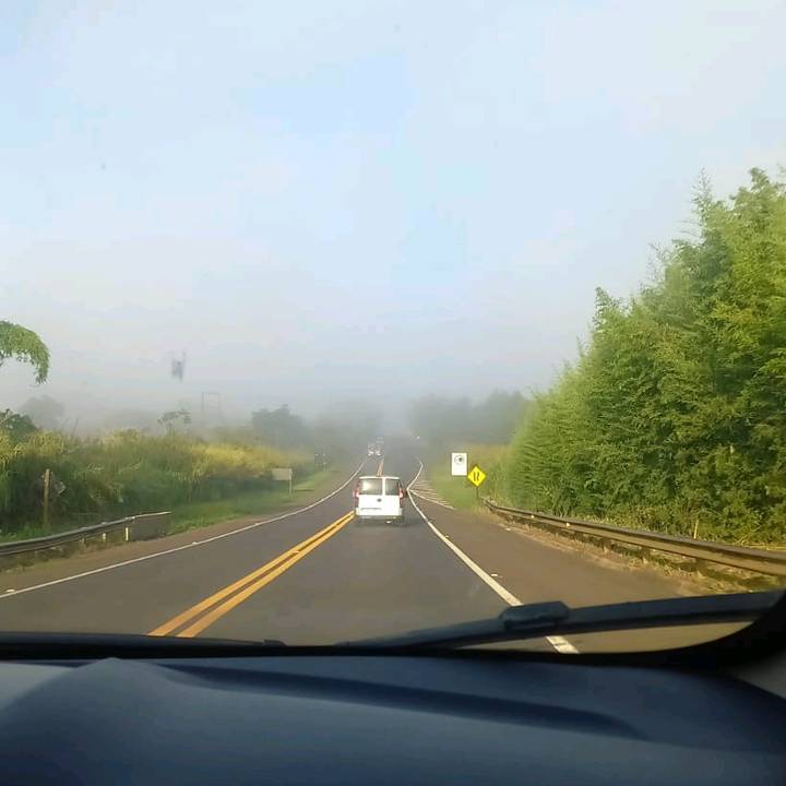 Moises Antunes de Paula