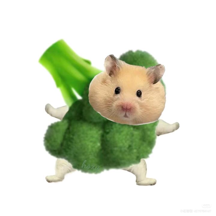 ʏᴜɴʕ˶'༥'˶ʔꨄ