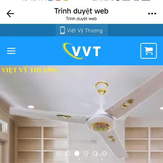 VIỆT VỸ THƯƠNG