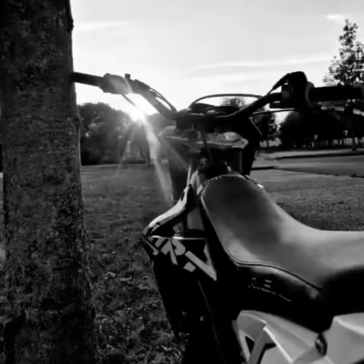 𝅙  𝅙🏴‍☠️