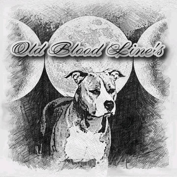 OldBloodLine