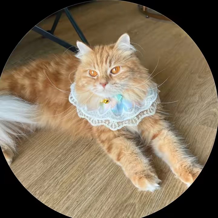 บอยกะม่อน