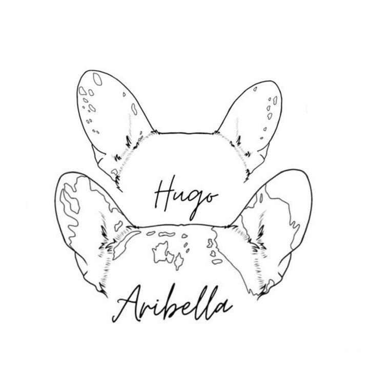 frenchies.adventures