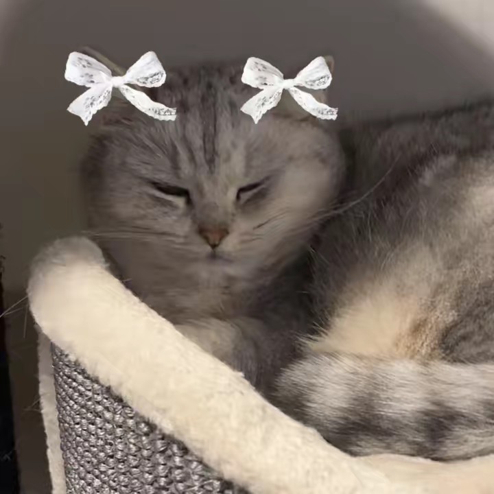 ౨ৎ𝐞𝐦𝐢ྀིྀི🤍⋆⑅