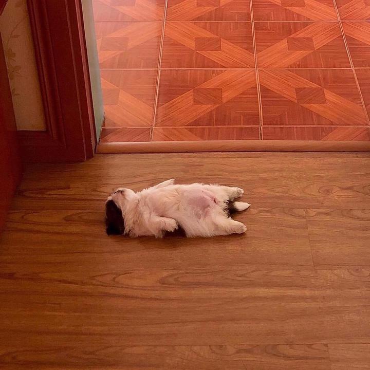 Frank Ervin Masongsong